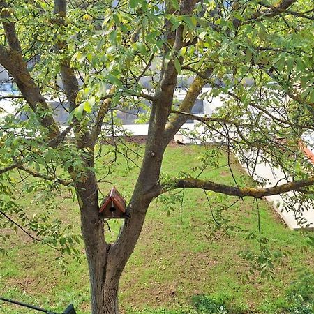 Apartmani Stefano Labin  Dış mekan fotoğraf